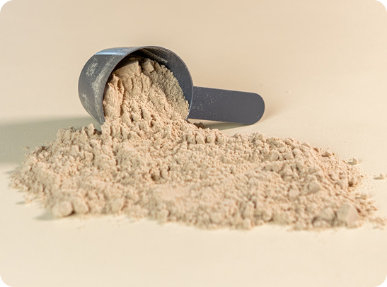 Встречайте новогоднее обновление ассортимента в магазинах Step-sport.by!